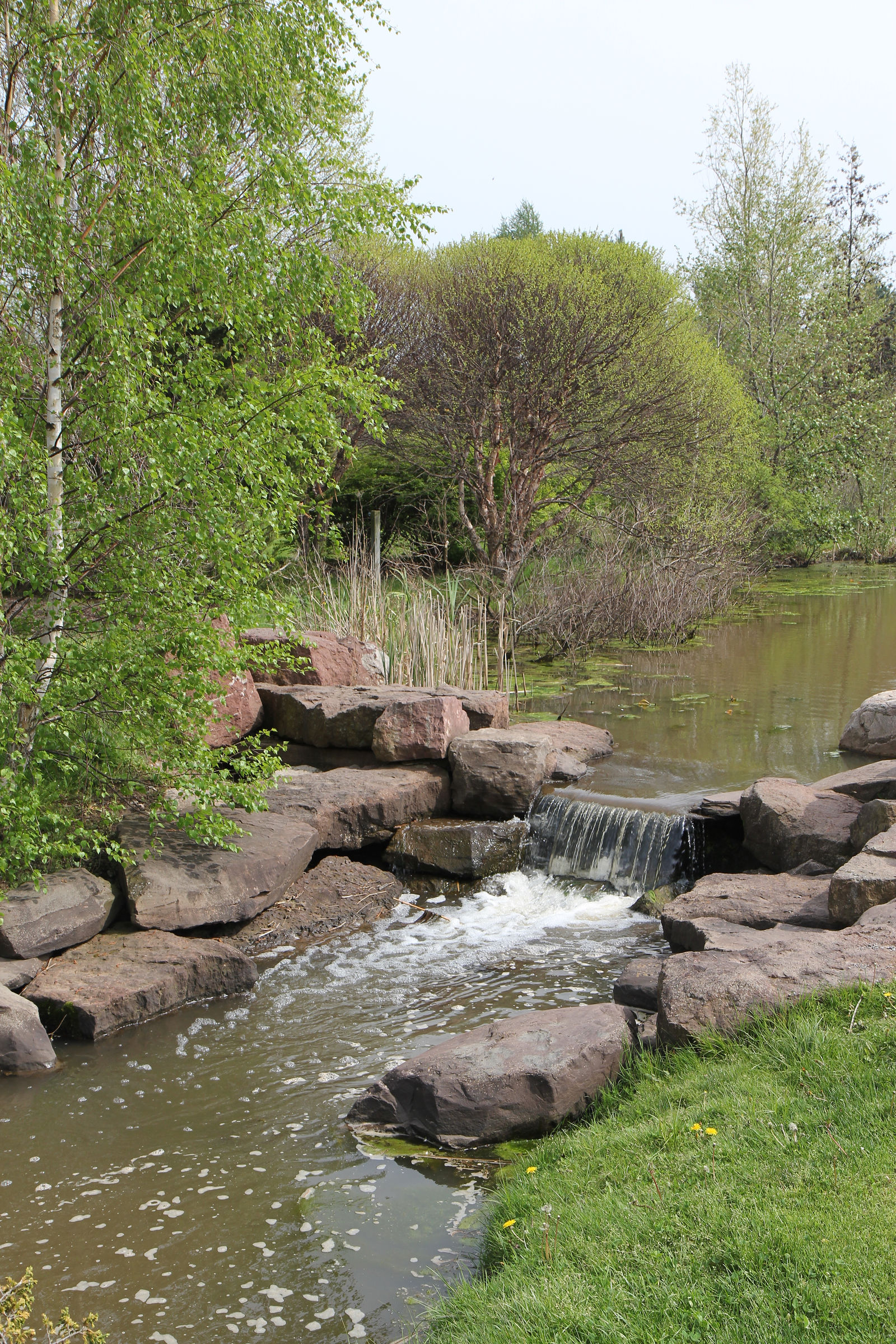Webster Arboretum