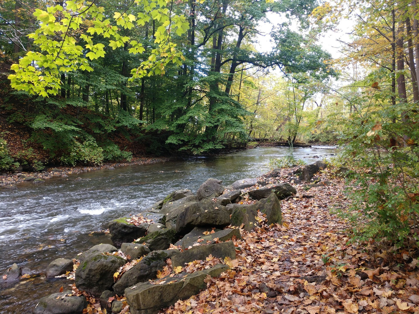 Channing Philbrick Park
