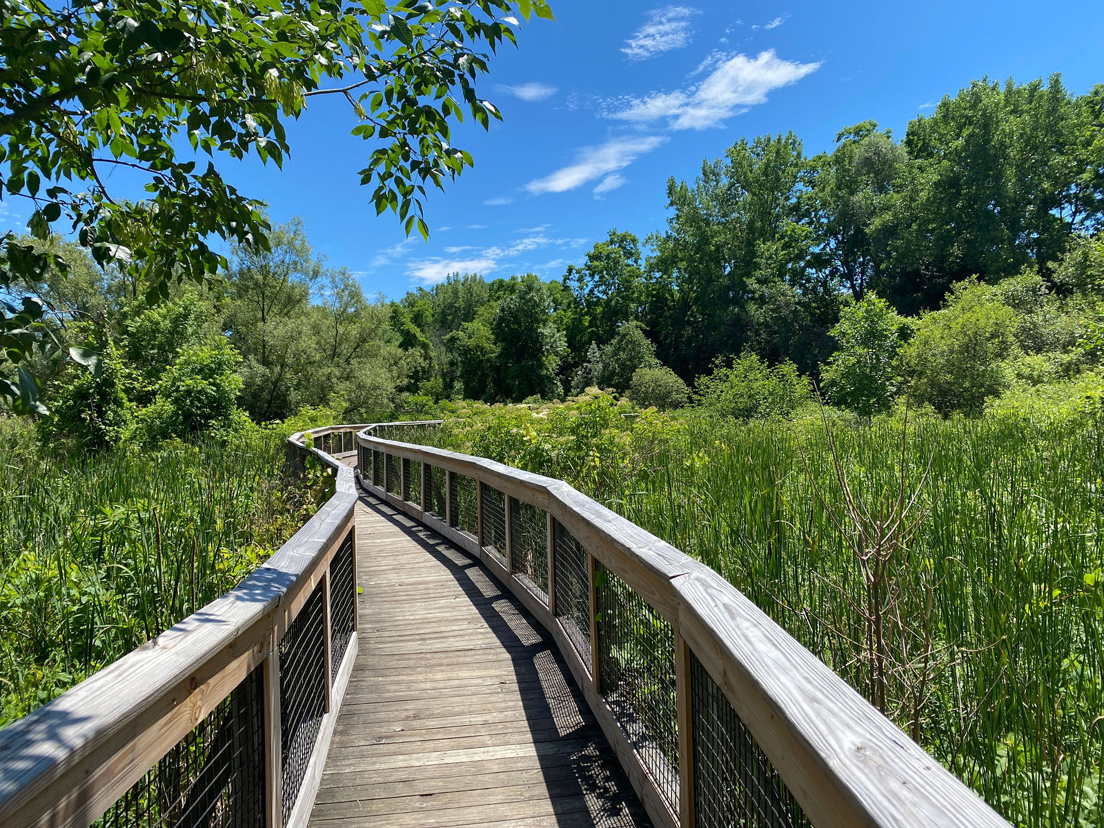 Thomas Creek Arboretum