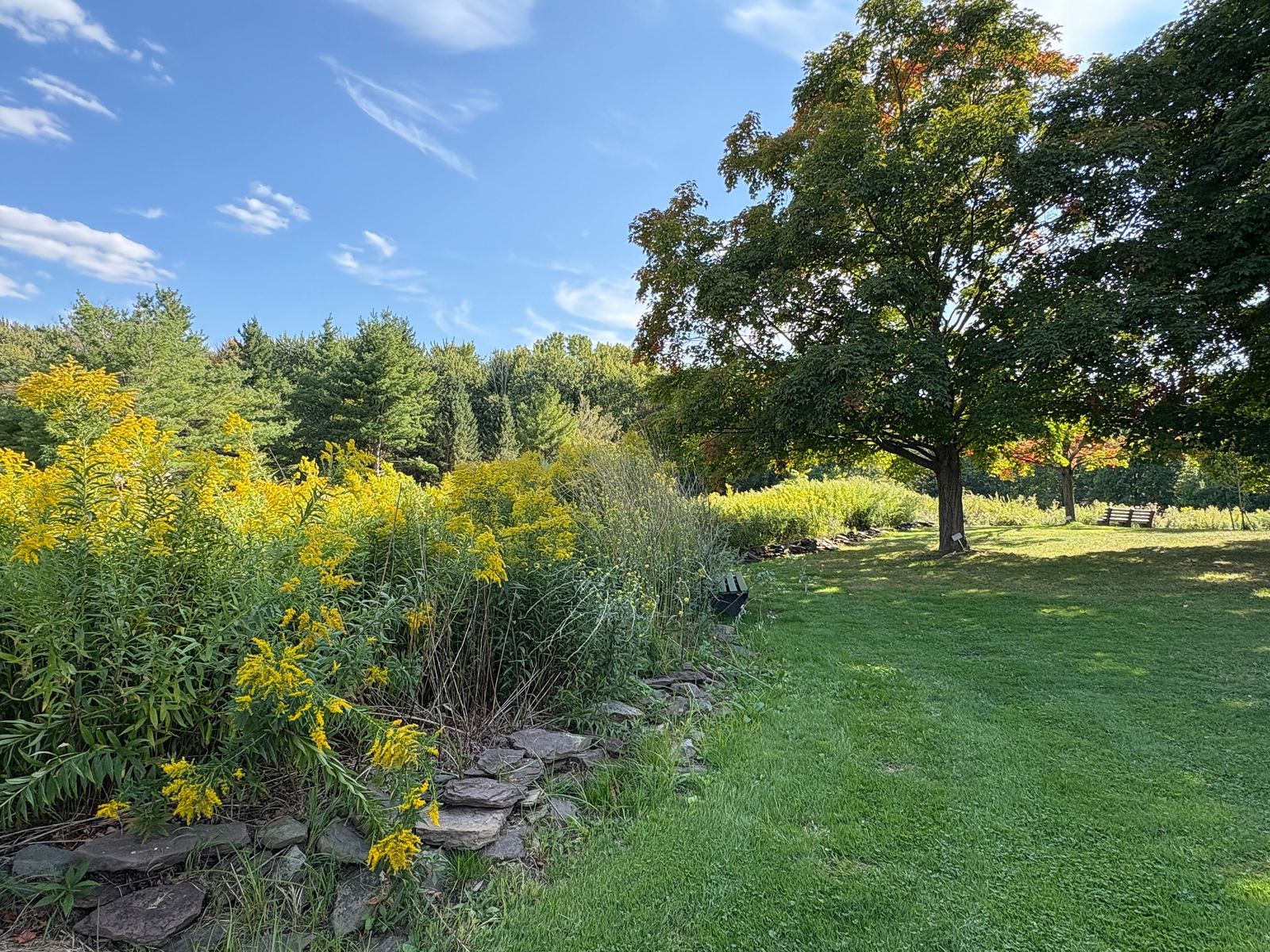 Tinker Nature Park