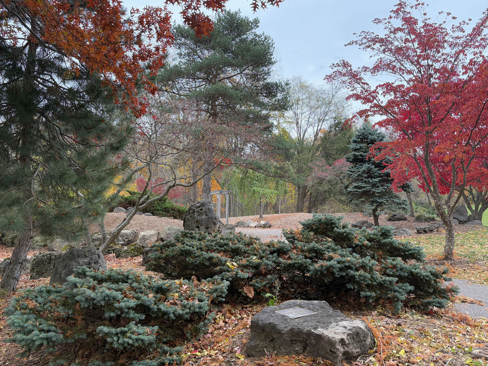 Penfield Park