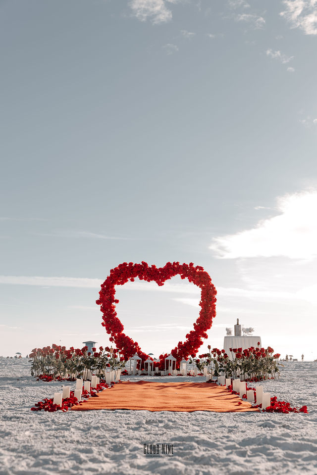 Javier Castillo's Proposal