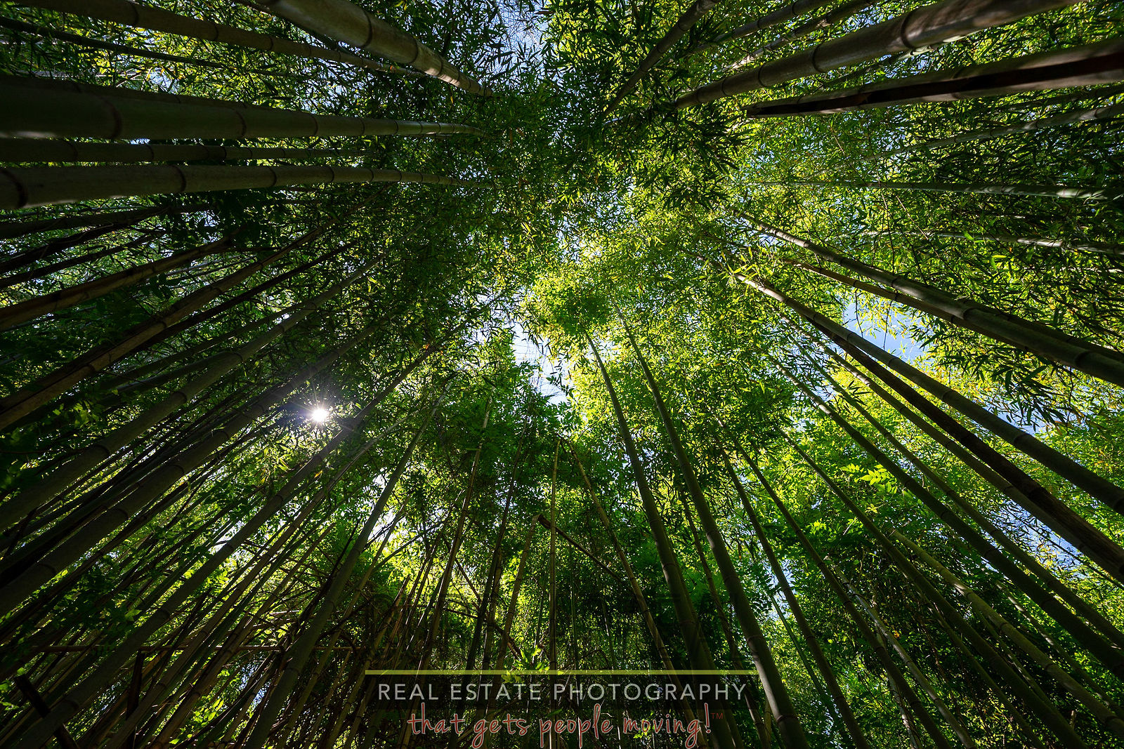 3 Griggs Street Southwest, Marietta, GA by Curb Appeal Photography