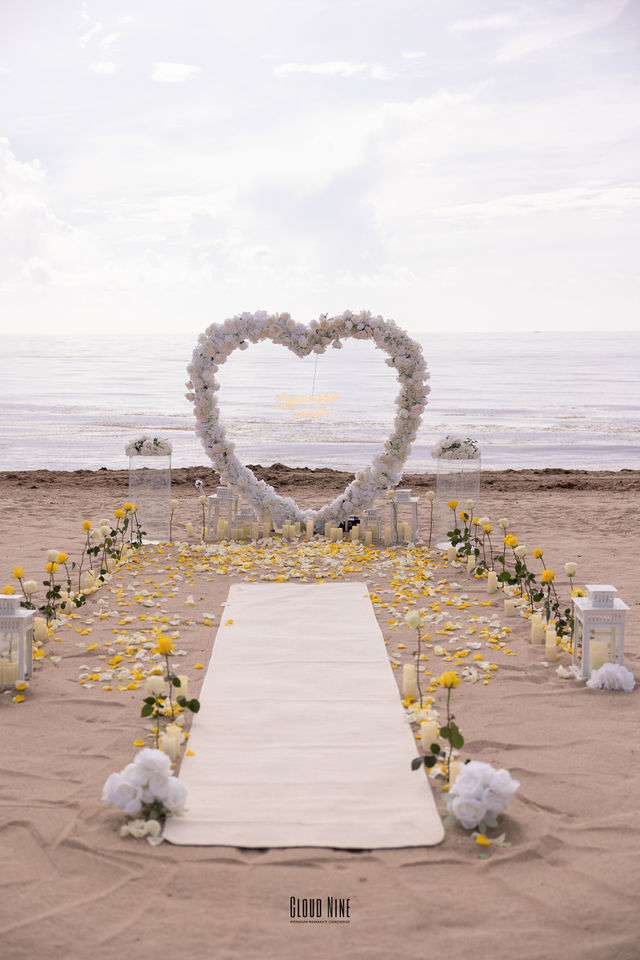 Diego's Proposal