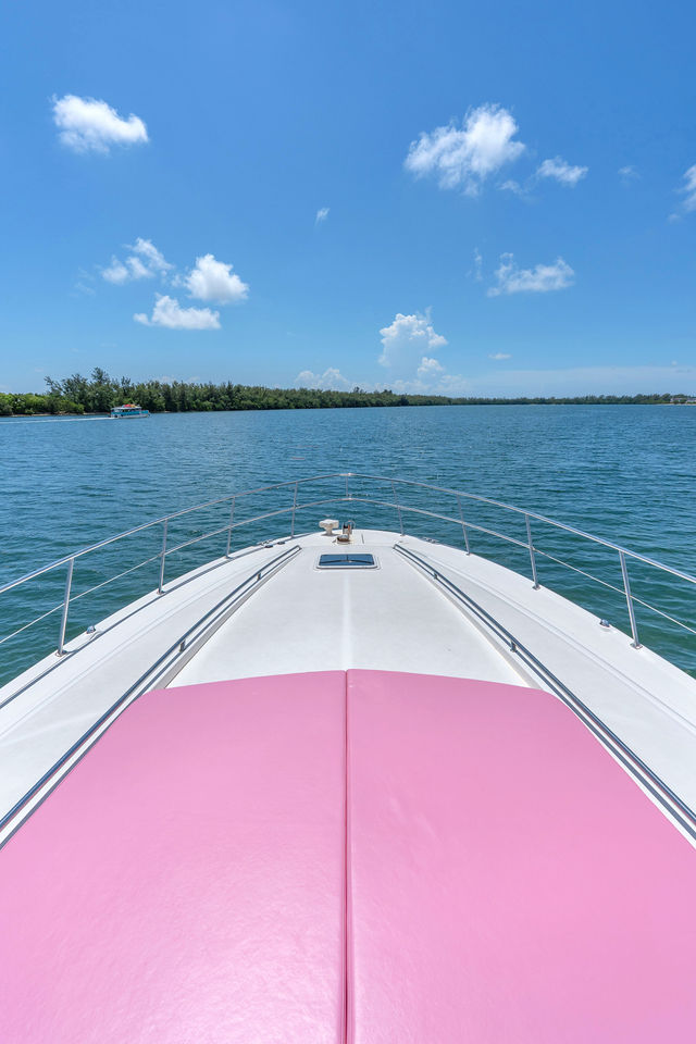 60FT Sea Ray Yacht – “My Distraction” — photo