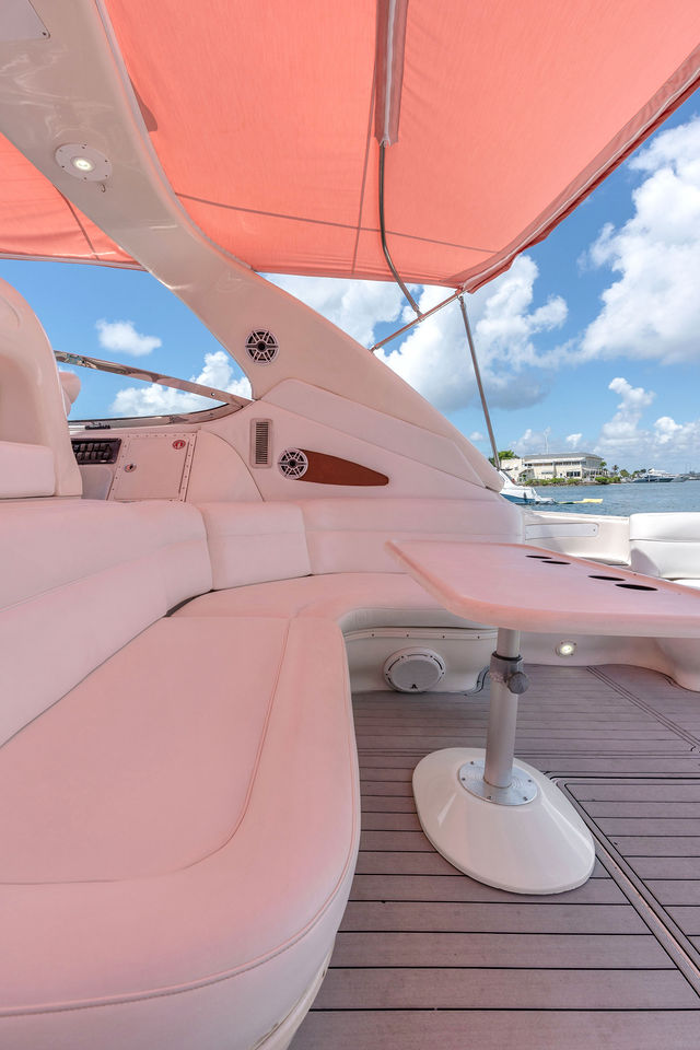 60FT Sea Ray Yacht – “My Distraction” — photo
