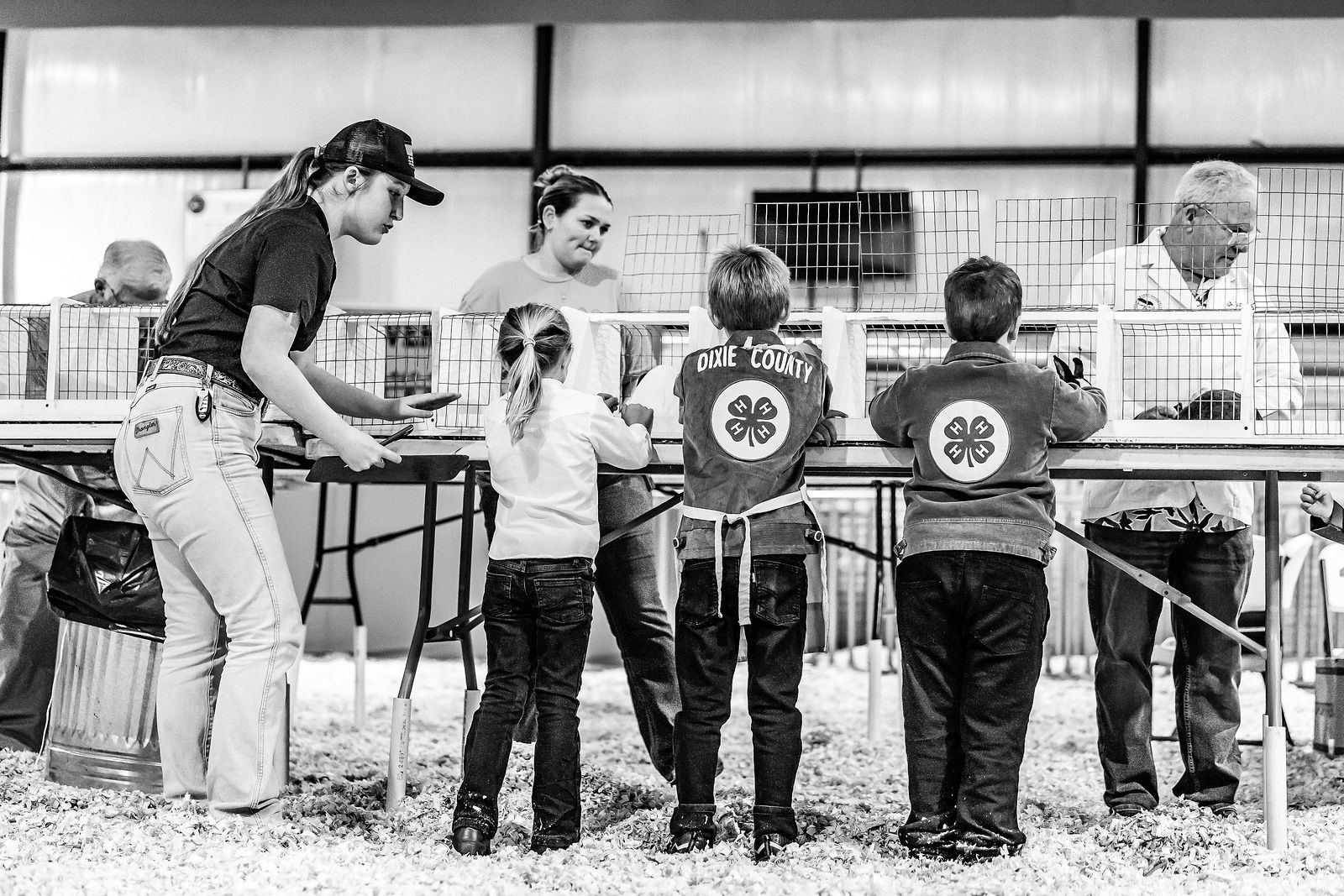 Rabbit Show & Showmanship by EB Photo & Design