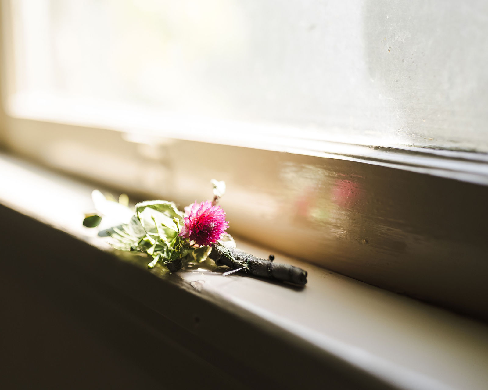 Boutonnieres by Ampersand resting on a windowsill before a Healdsburg wedding ceremony