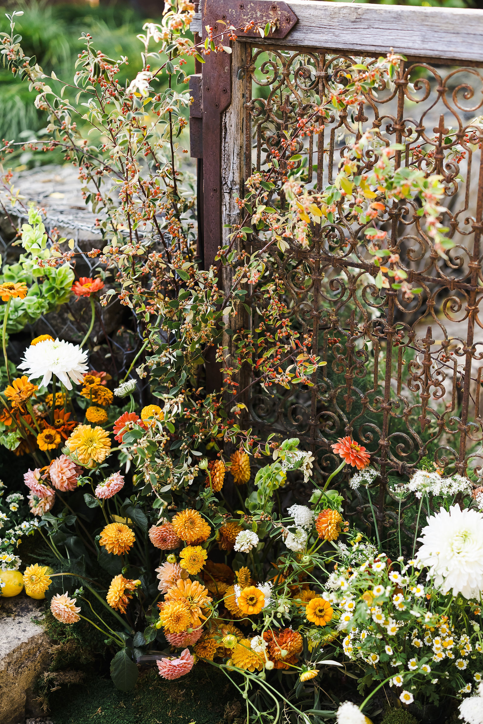 Citrus and garden floral installation by Ampersand at a Barndiva wedding in Healdsburg
