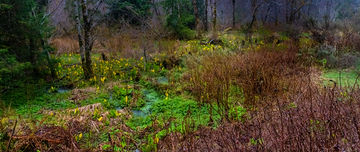 www.fairwindsphoto.com_Cape-Flattery-1834.jpg