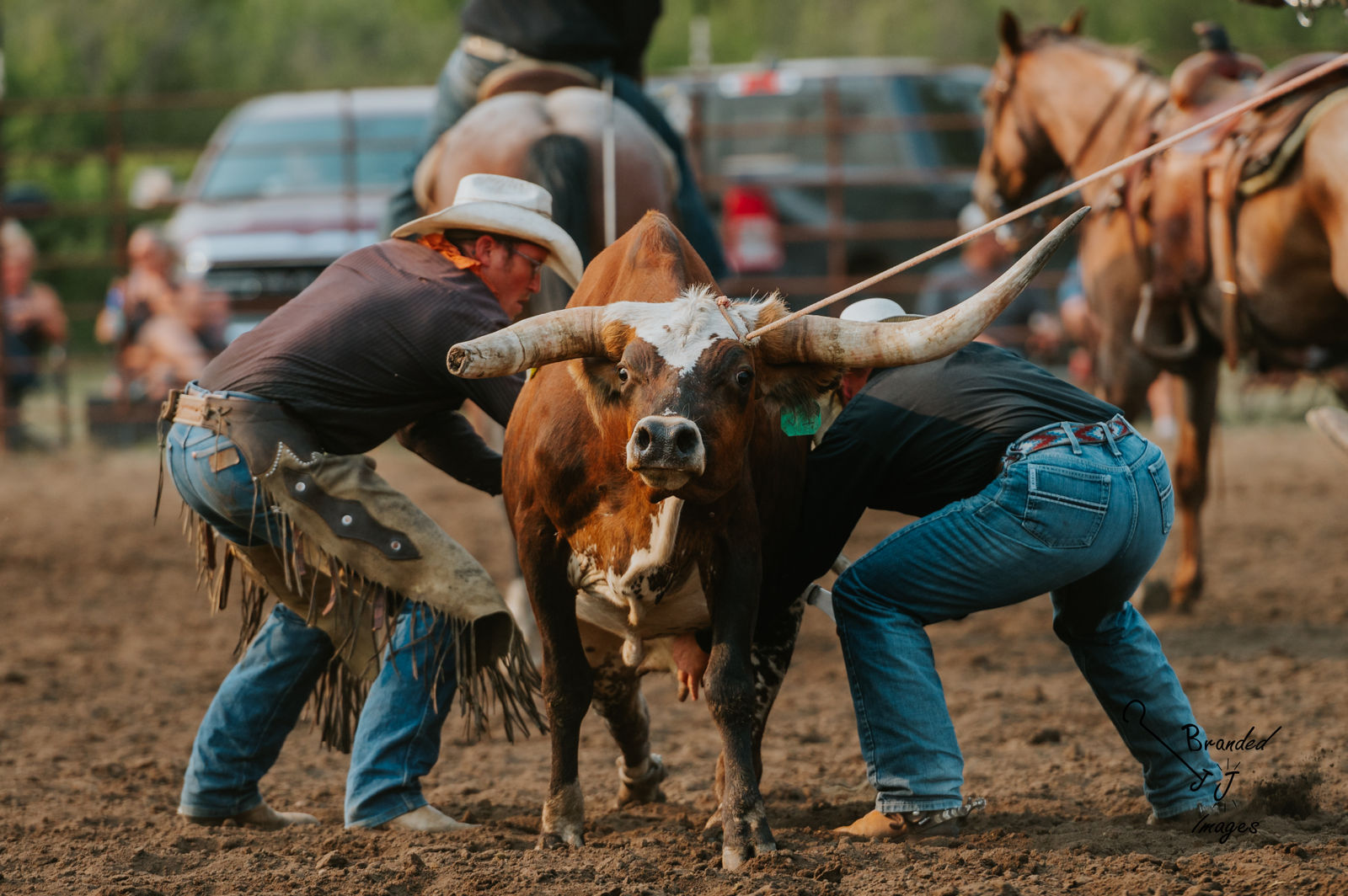 Sheyenne Stampede Ranch Rodeo by Branded J Images