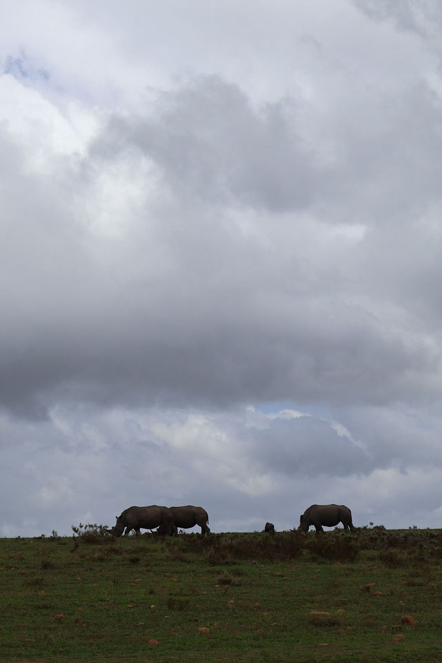 Gondwana Lodge — Wildlife (1)