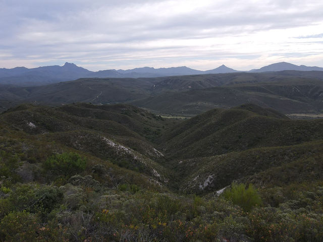 Gondwana Lodge — Site evaluation (4)
