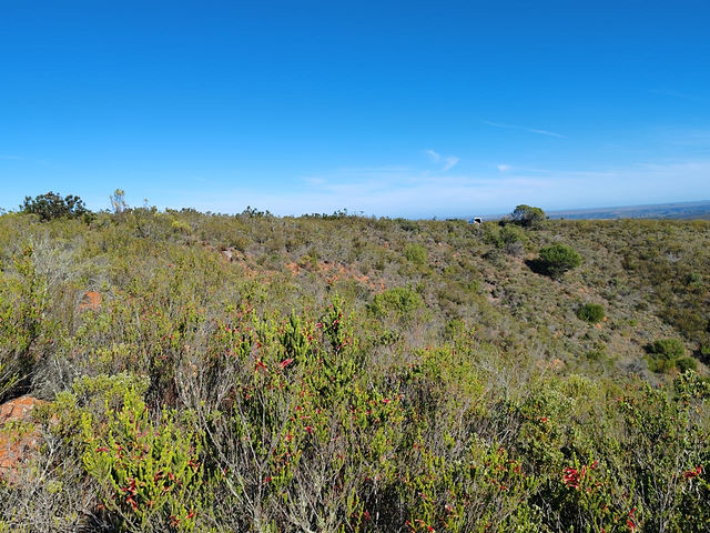 Gondwana Lodge — Site evaluation (3)