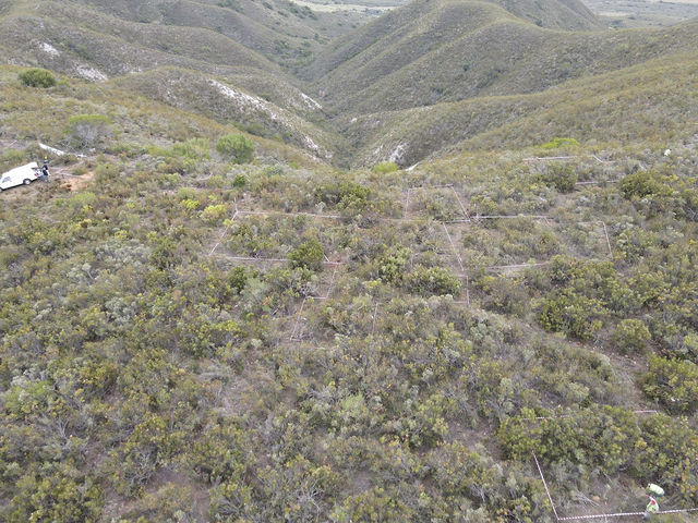 Gondwana Lodge — Site evaluation (1)