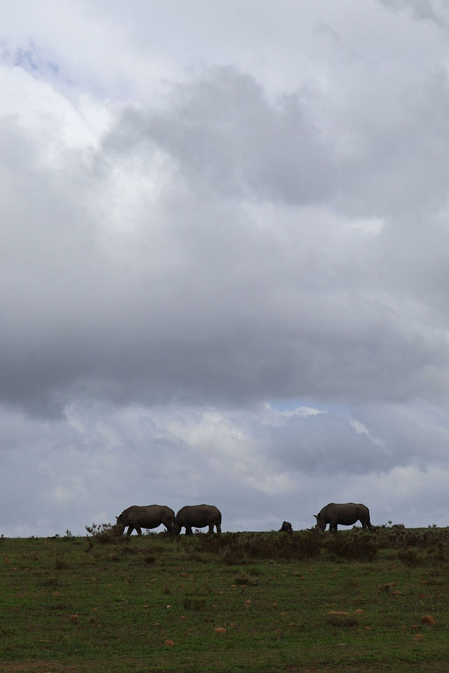 Gondwana Lodge — Wildlife (3)