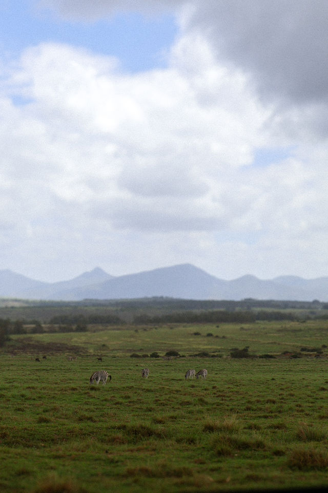 Gondwana Lodge — Wildlife (2)