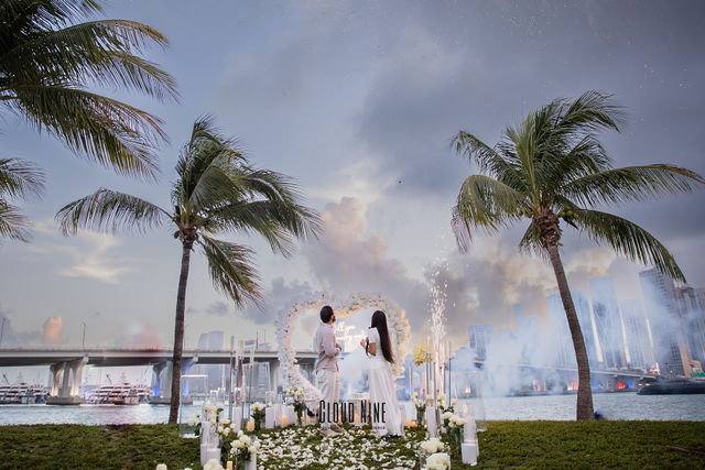 Levi's proposal