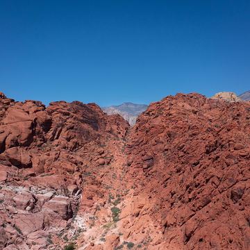 DJI_0015.jpg
