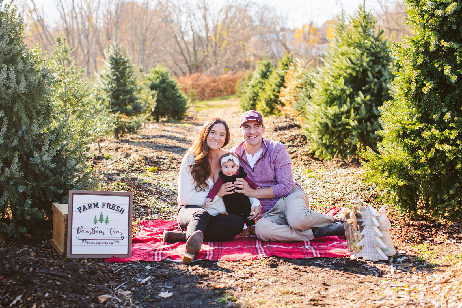 Hajedemos Family | Christmas Tree Farm Minis | Mistletoe Acres Tree ...
