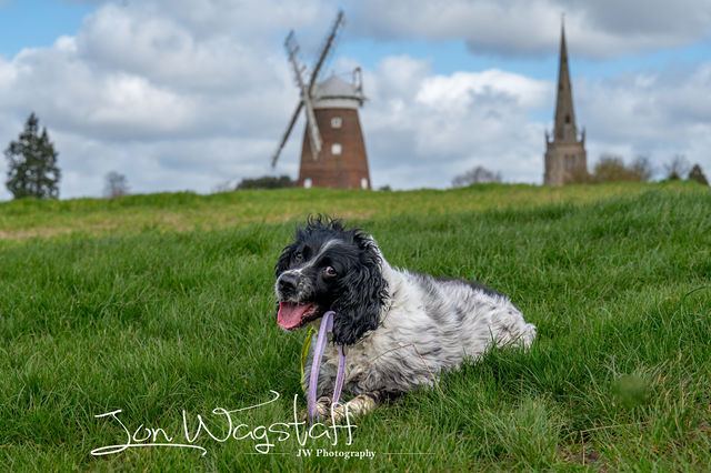 Pepper & Dougie — gallery by Jon Wagstaff
