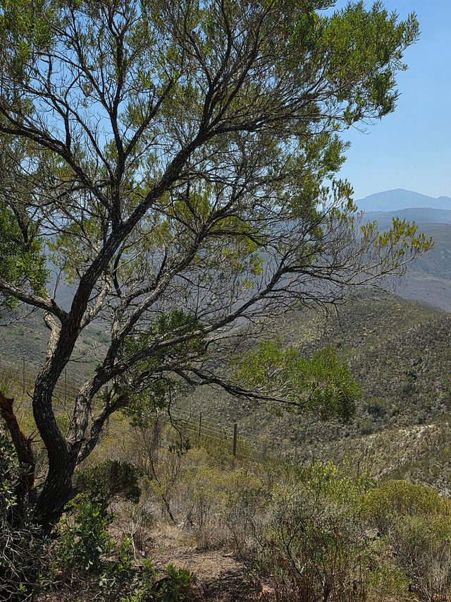 Residential builds — Gondwana Lodge (48)