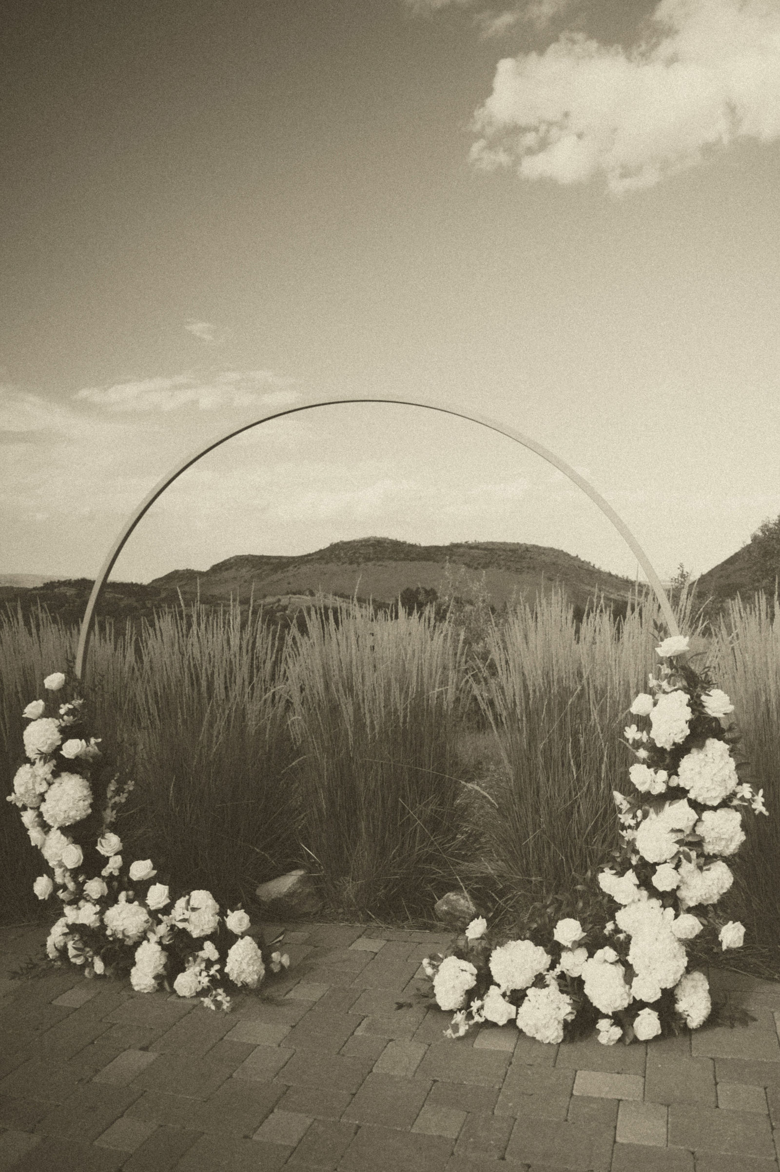 Pampas grass ceremony arch with the Front Range behind it at The Manor House