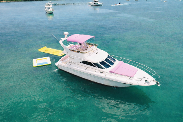 50FT Flybridge Sea Ray Yacht – “Horizon” — photo