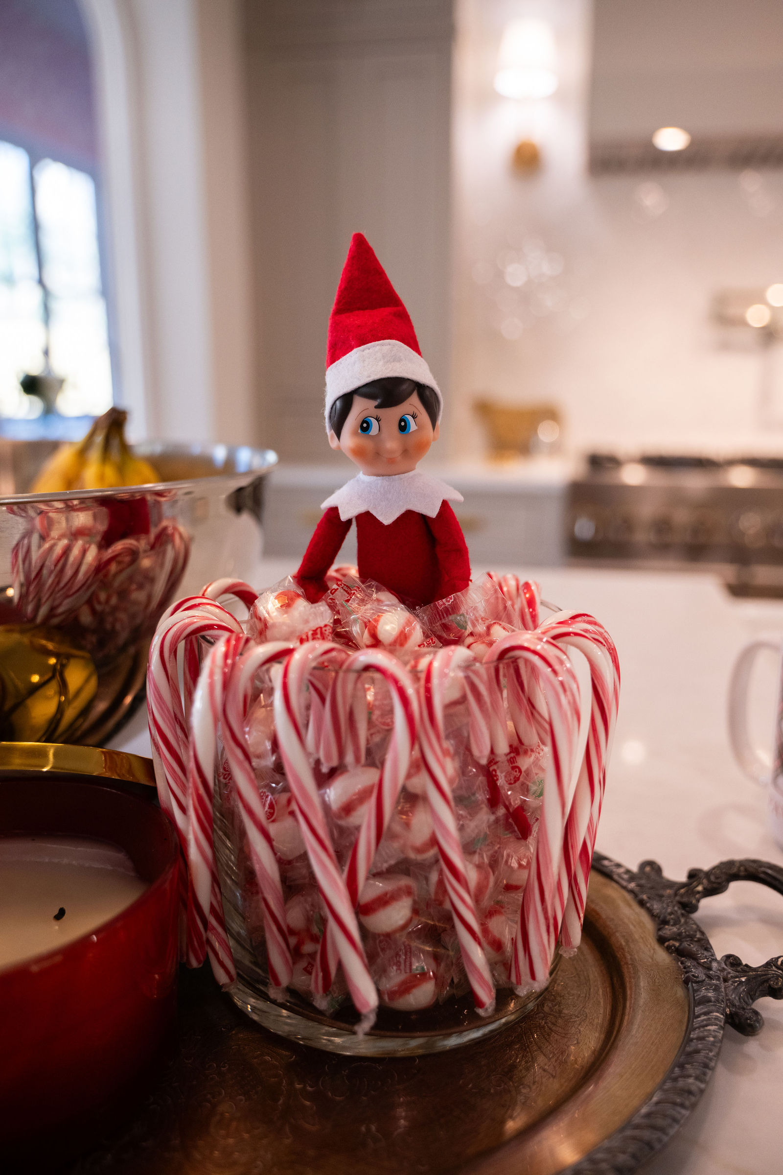 Fitch Christmas Session 30