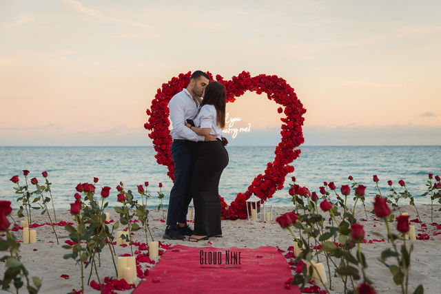 Matan Baron Proposal
