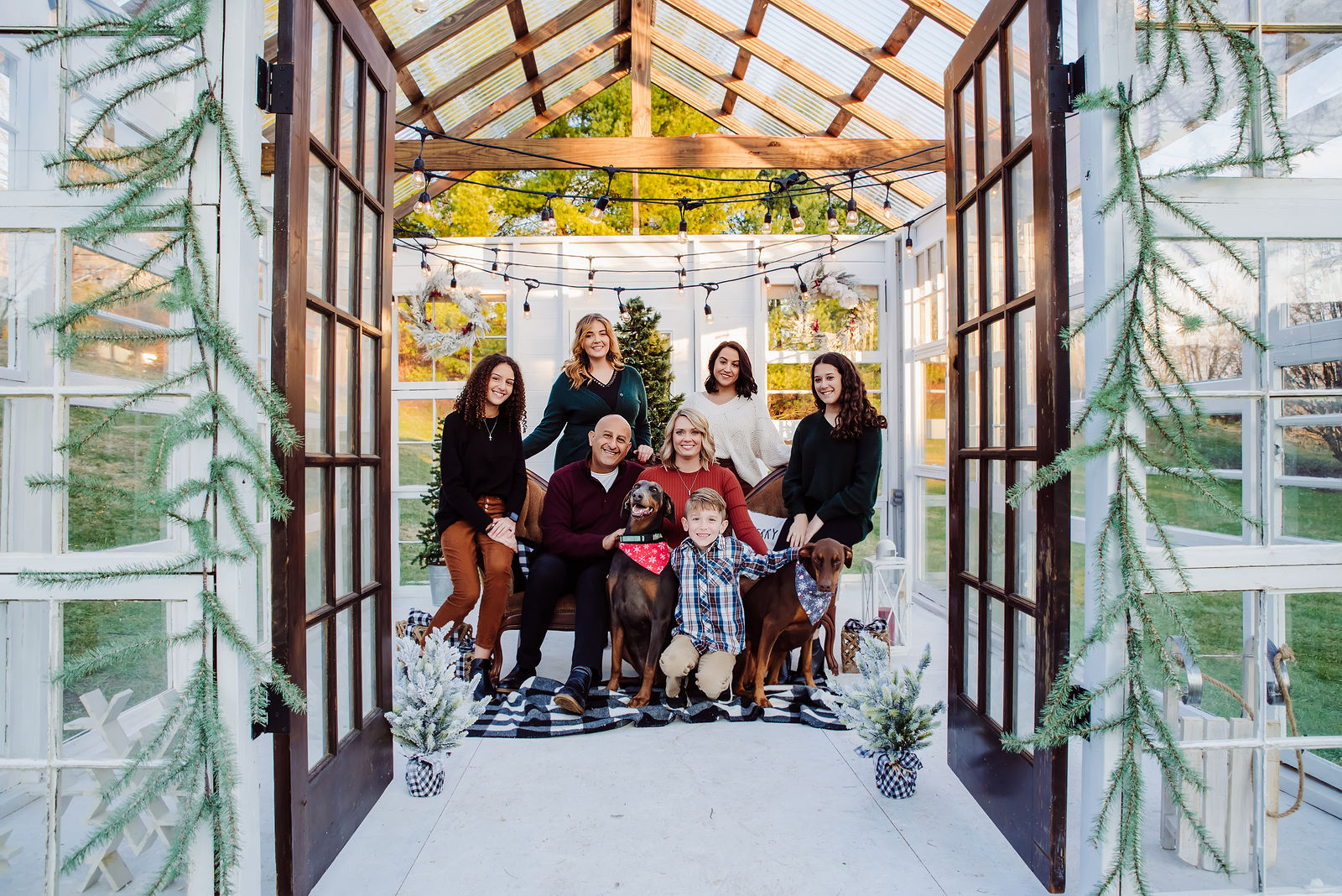 Christmas in the Greenhouse by Sara Cassidy Photography