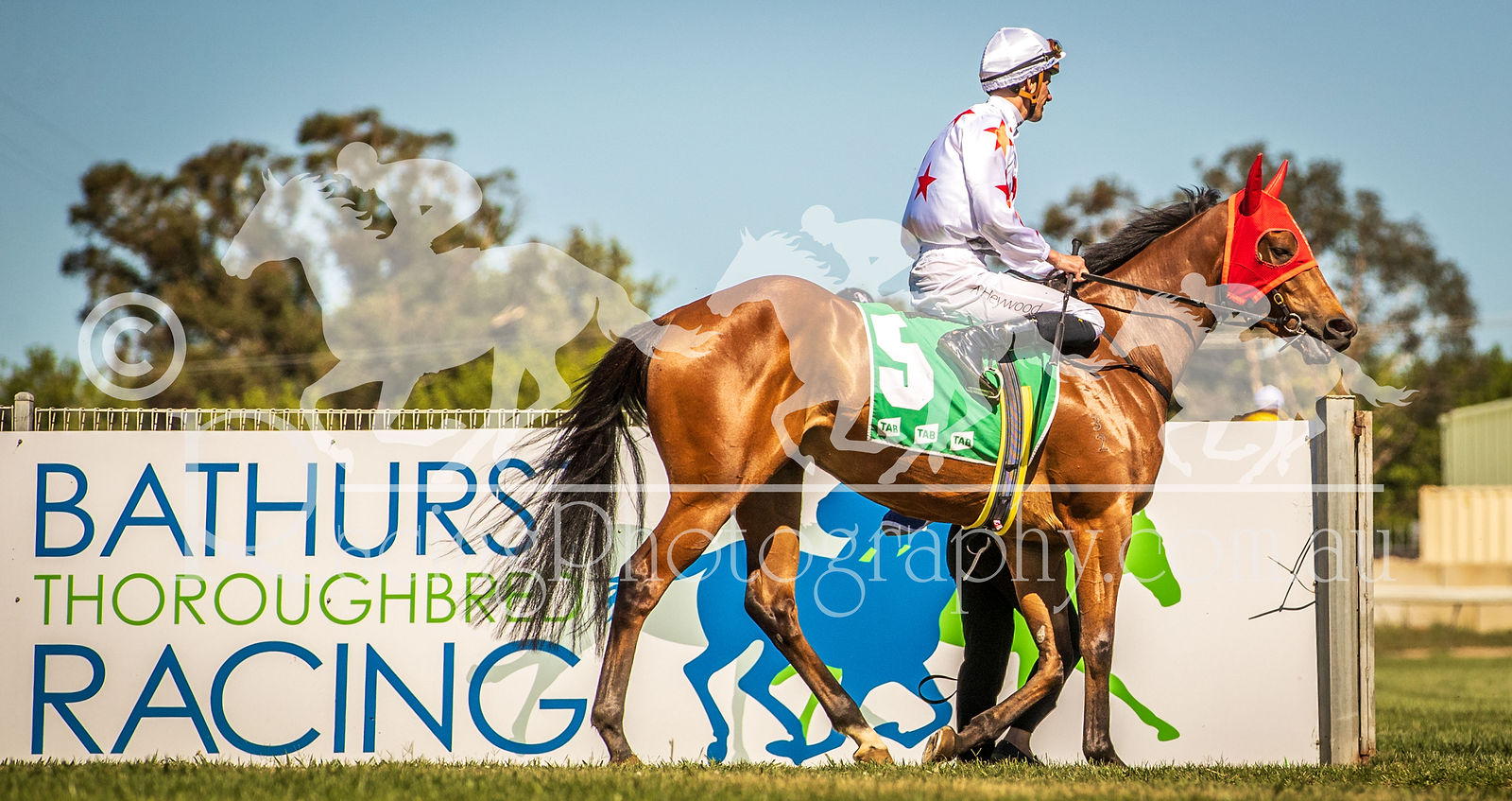 Peter Snowden Racing Xtra Pics - Valentiago, Nick Heywood / Peter Snowden by RacingPhotography