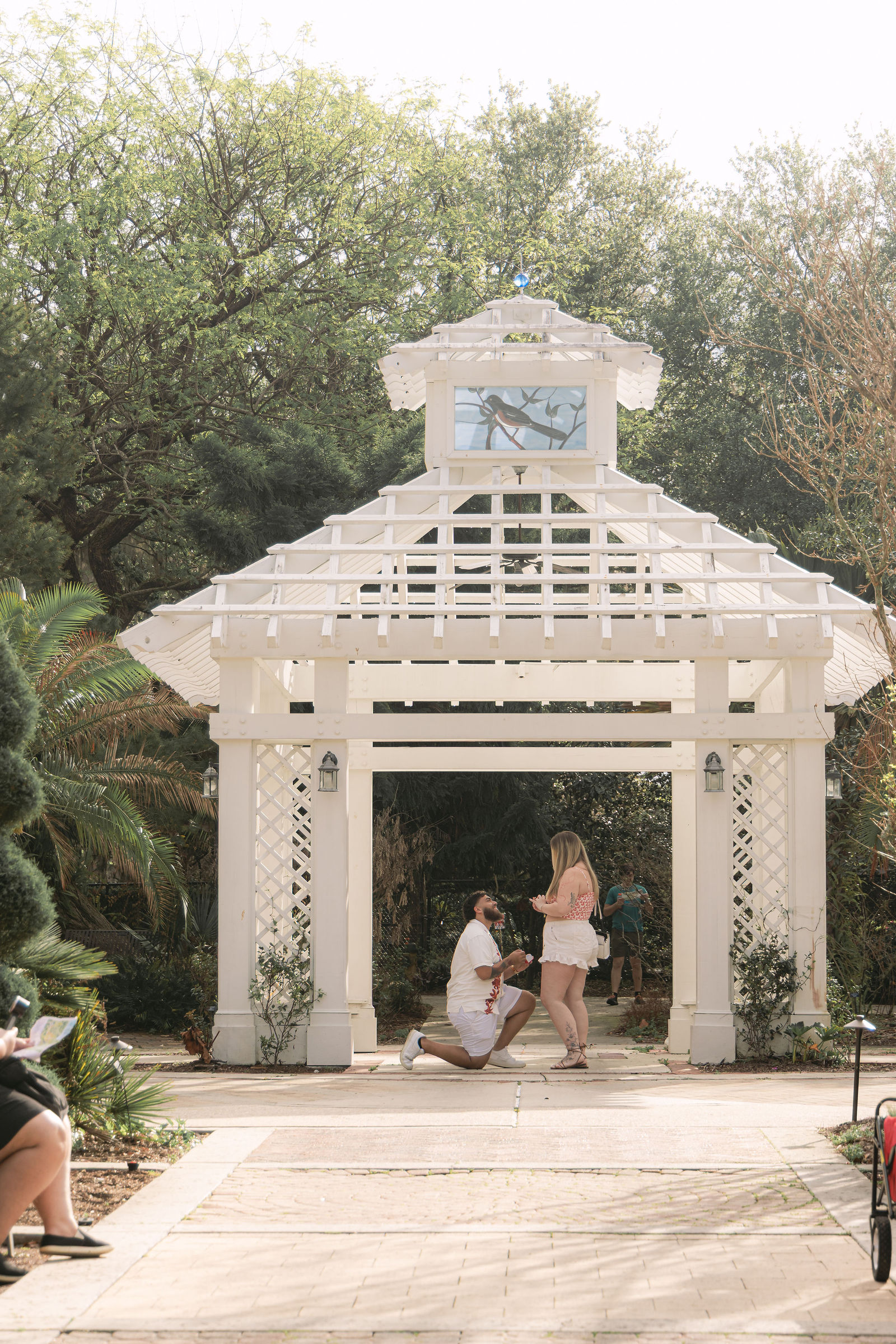 Surprise proposal photographer Naples FL