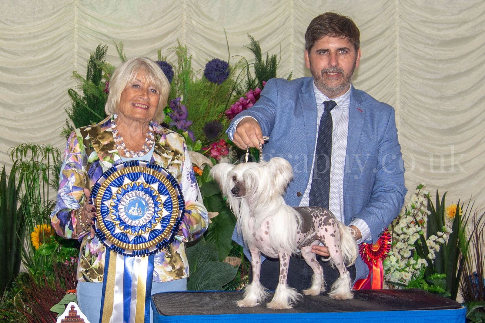 Blackpool Championship Dog Show 2021 by showdogmedia