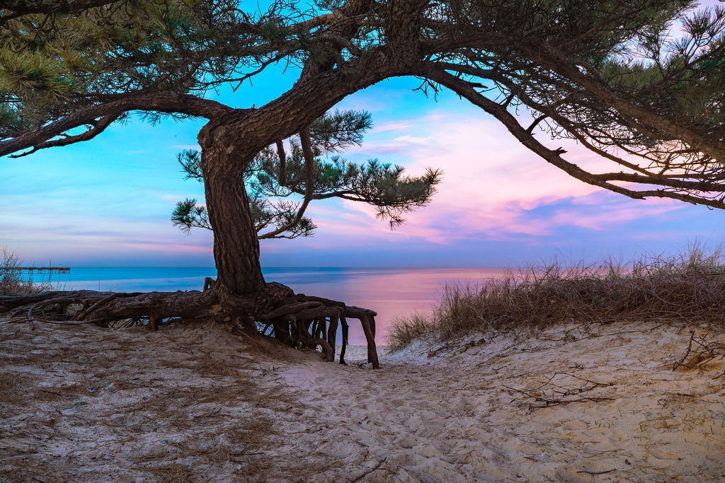 Texas landscape — photograph by Michael Mascorro