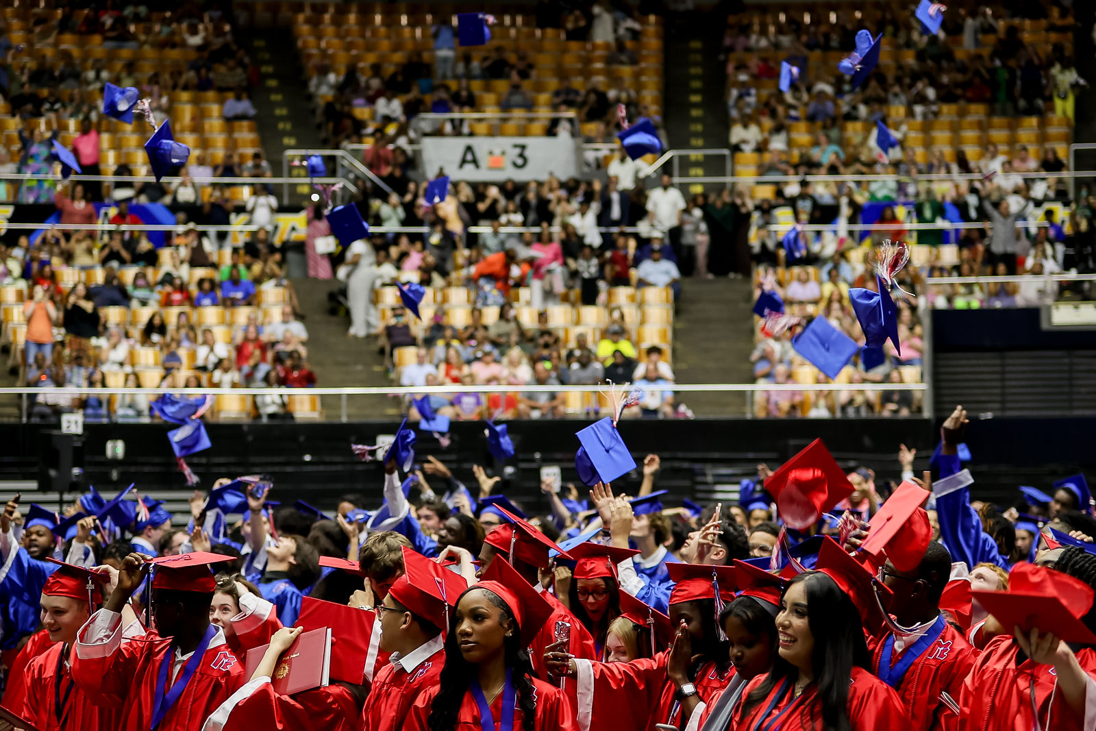 Halterman Photography & Productions