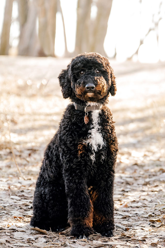 Coco
