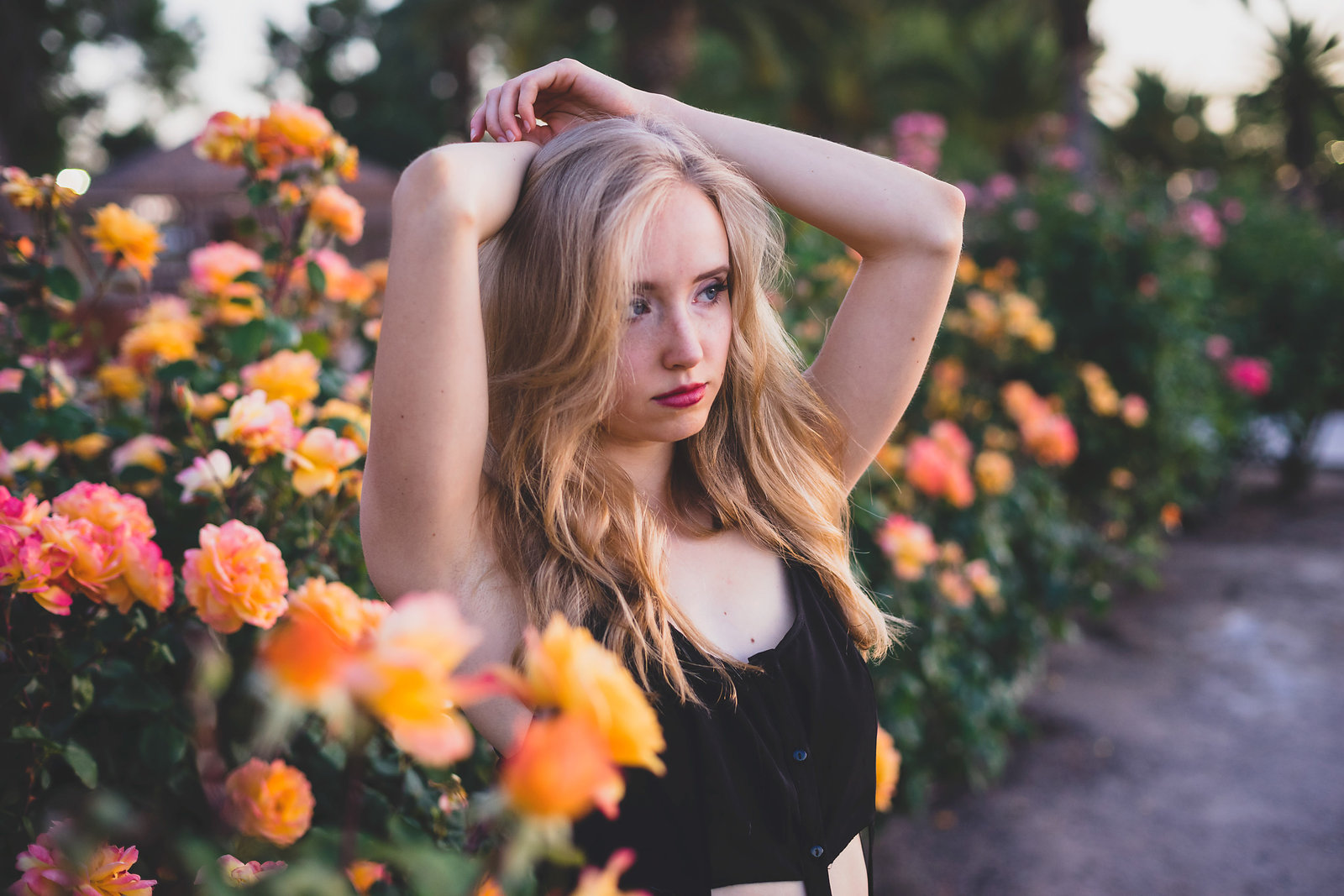 Kacie T / Rose Garden at Reid Park / Tucson by Tj Roxas Photography