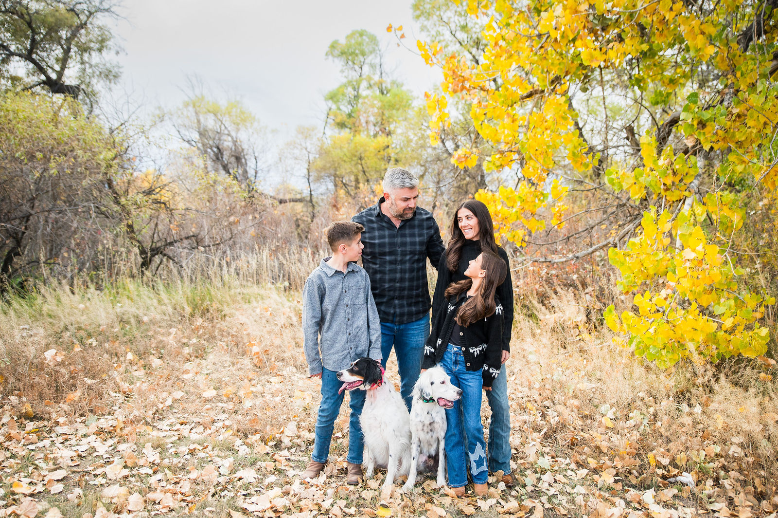 Colorado family in navy plaid, chambray and denim in front of a bright yellow cottonwood tree