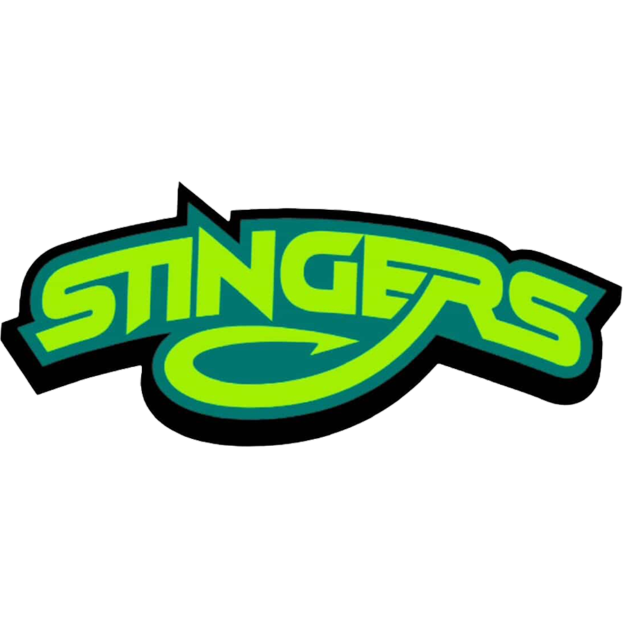 VIM Stingers Gym Logo