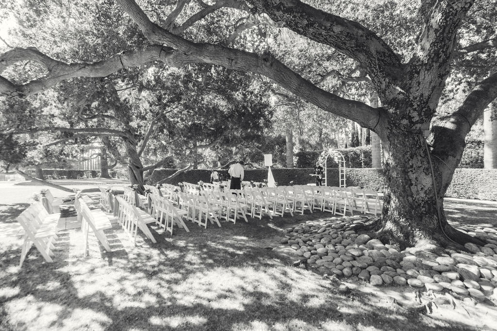 Julissa & Jorge wedding photo