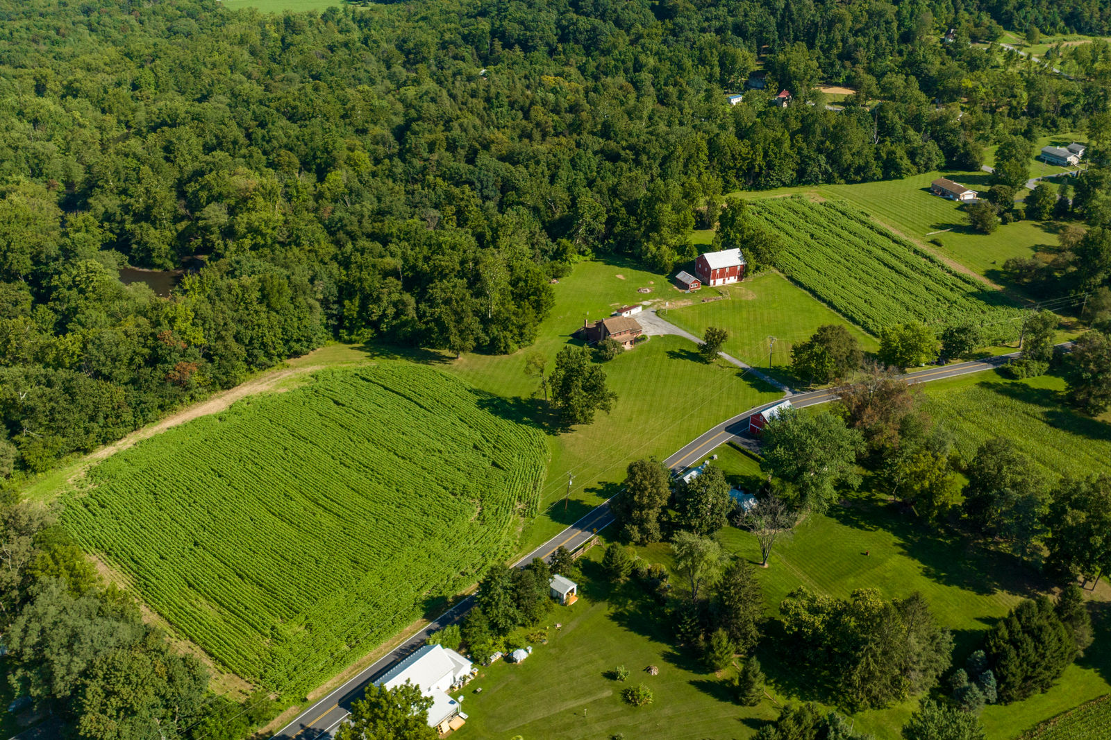 89 Darkes Road, Jonestown by Kline, Kreider & Good Auctioneers