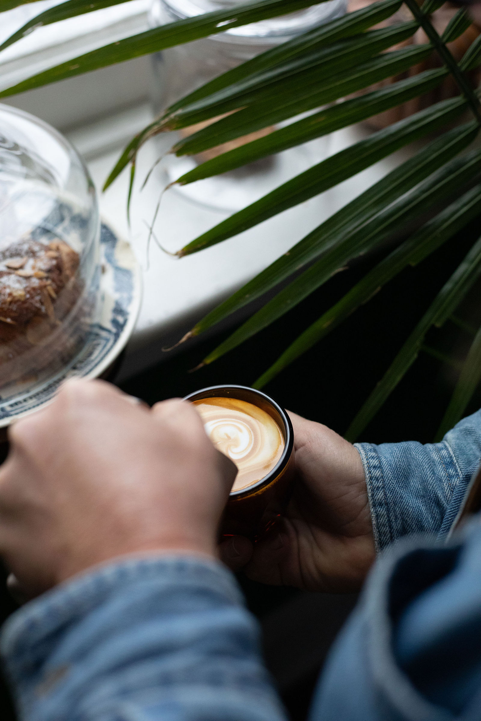 Not Neutral x Collective Espresso
