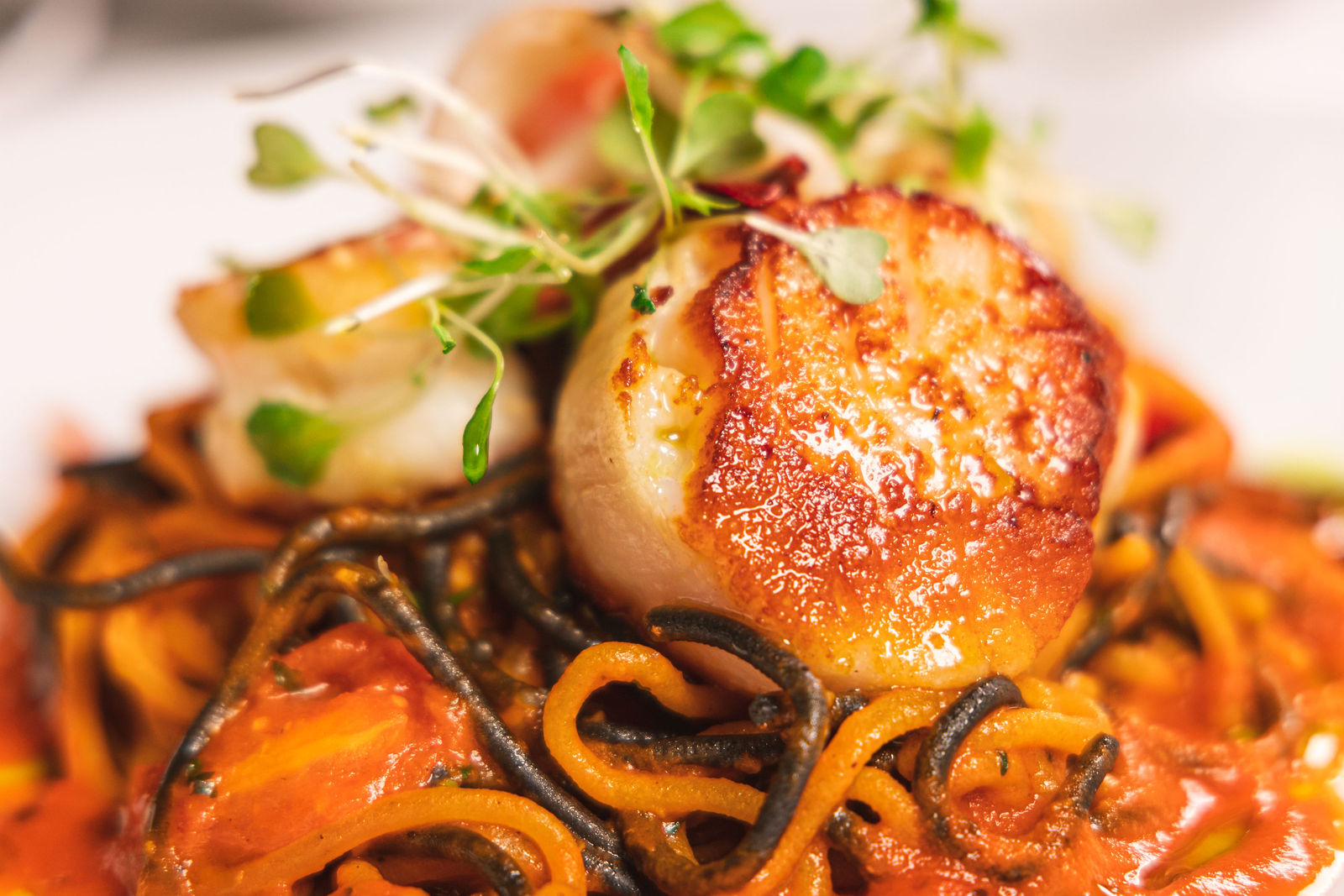 Osteria Del Pastaio by Austin Handler Photography