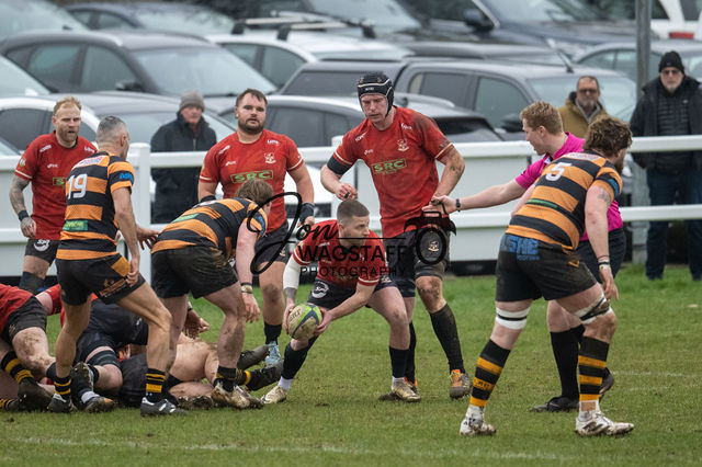 Letchworth R.F.C. v Colchester R.F.C: Regional One Sth East — gallery by Jon Wagstaff