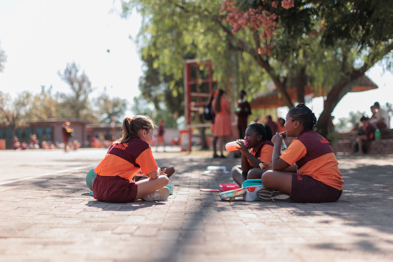 huttenpark-primary-school-by-orchid-oak