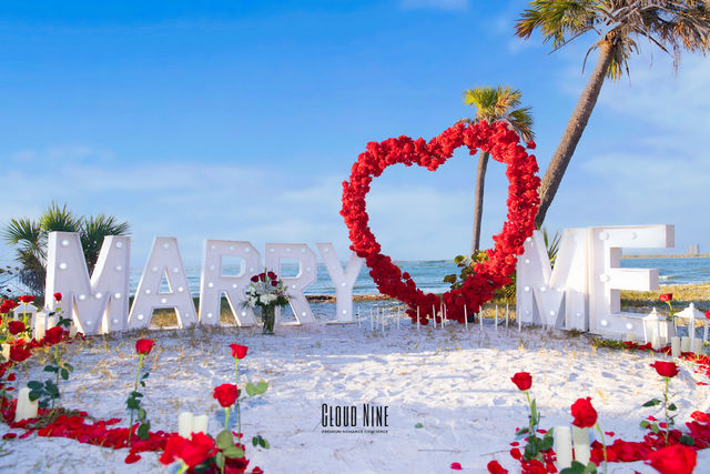 Richard Daniel's Proposal