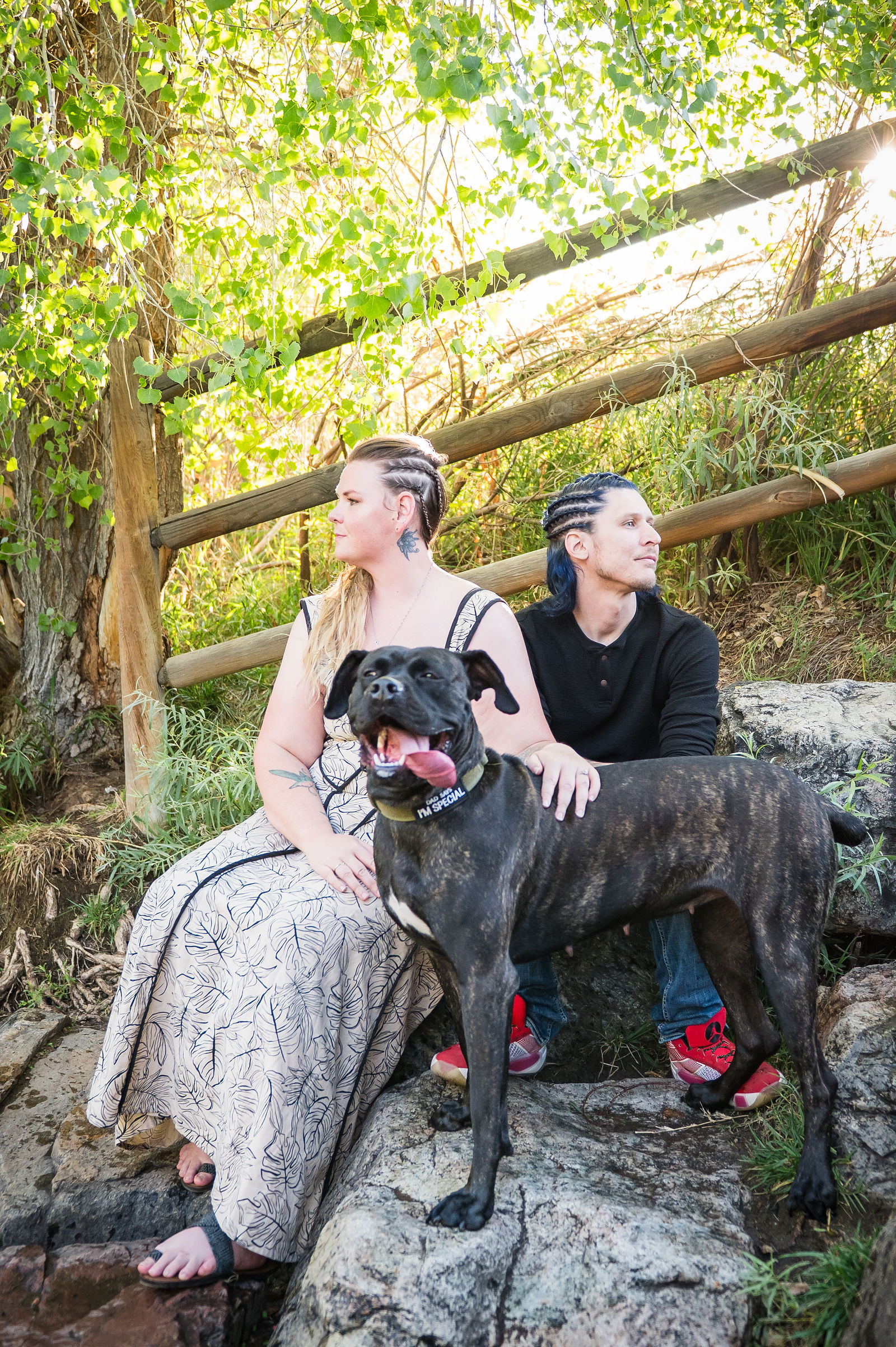 Colorado engagement session with the couple and their dog in evening light