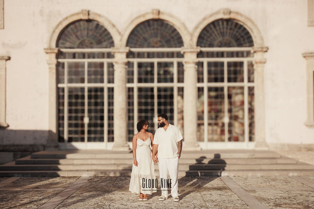 Dillon's proposal Villa Vizcaya