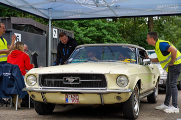 DSC01385.jpg
